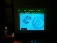 P1000407.jpg